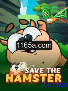 Tudo sobre o Jogo SavetheHamster: Descrição, Introdução e Regras